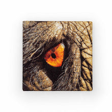 Load image into Gallery viewer, Elephant