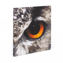Load image into Gallery viewer, Owl – Set of 2 embroidered canvases