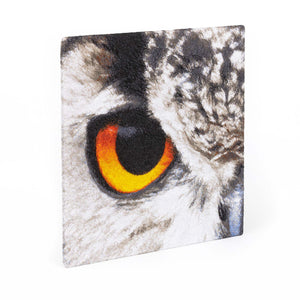 Owl – Set of 2 embroidered canvases
